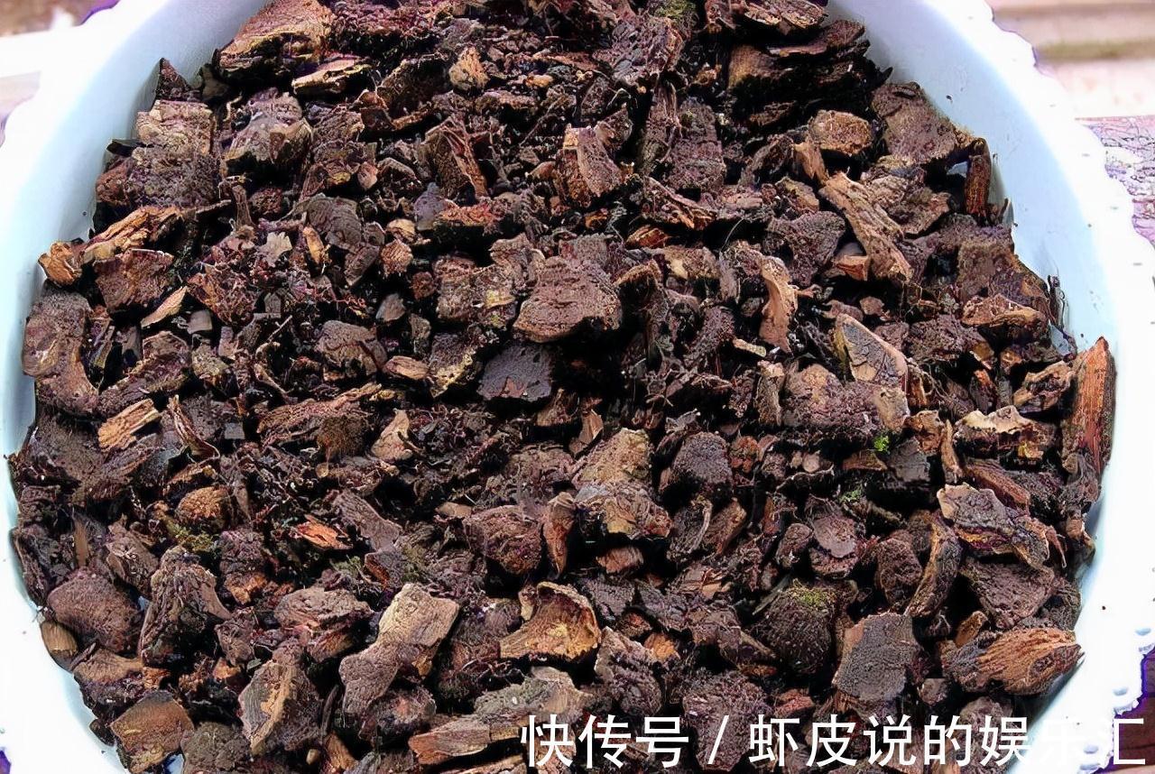 根系|不管养什么兰花，把这1种树皮埋土里，根系、叶片噌噌窜