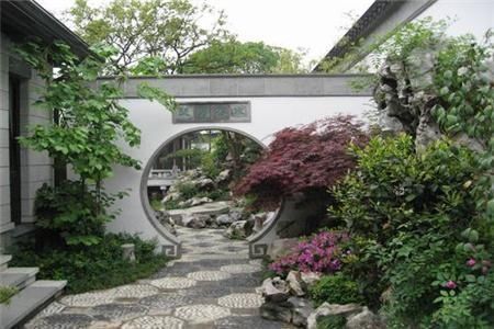 槐树|庭院十大吉祥之树是什么种对了一直富贵