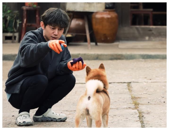 《往生5》开播仅两天收视破亿，口碑回升，常驻中谁是最大功臣