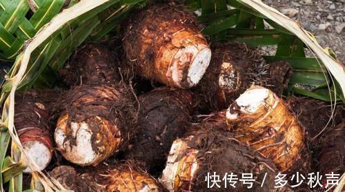 碱性|冬天,女人要多吃这种“碱性食物”,皮肤好,头发乌黑,牙齿健康