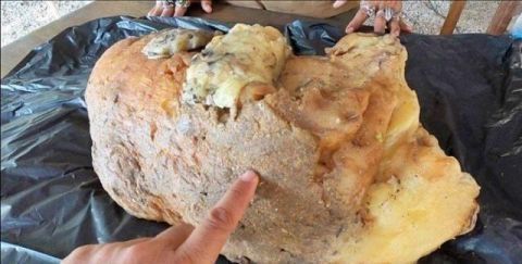 价值|泰国青年海滩捡了块“石头”放家一年后才惊觉自己将成亿万富翁