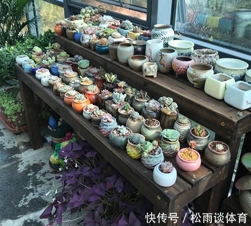 植物|养花小技巧:阳台养多肉,3样东西真鸡肋,新手还抢着买