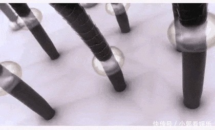 潘婷|这款老牌洗发水“重出江湖”打败潘婷欧莱雅,让海飞丝措手不及!