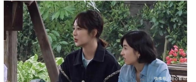 杨紫 向往的生活5:奥特曼谜团揭开,杨紫待蘑菇屋三天不肯走被调侃