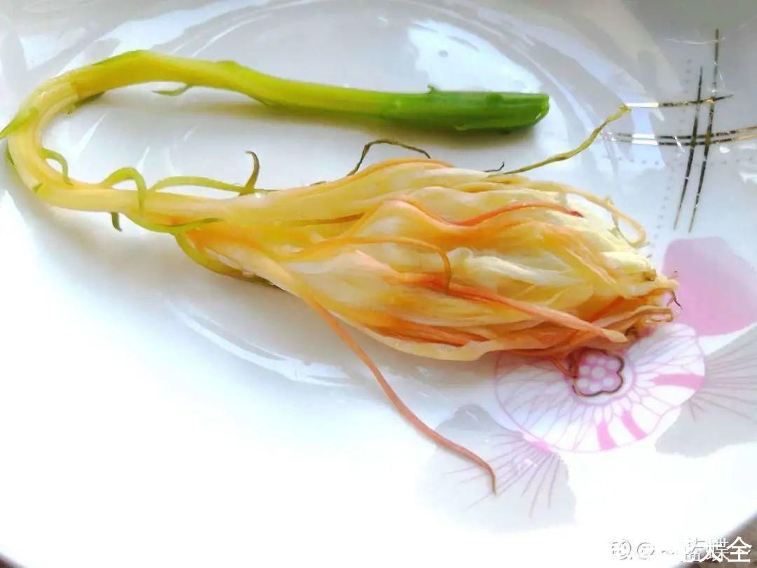 金银花|养到烦人的花，盆都不够用，扔掉还很心疼