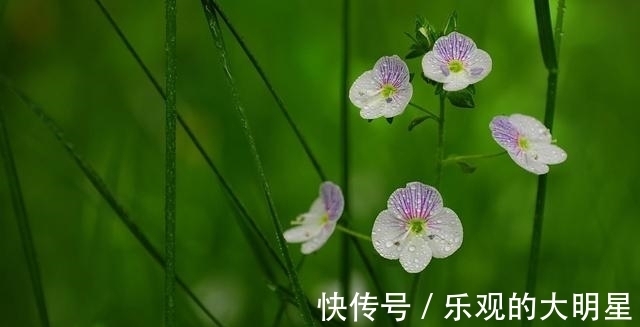 9天后，牵手一次，执手一生，风柔雨润，良缘天赐，执手今生不离