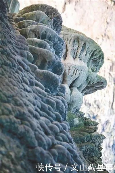 文山州这里有个岩蜂洞,神奇的天然“草药铺”