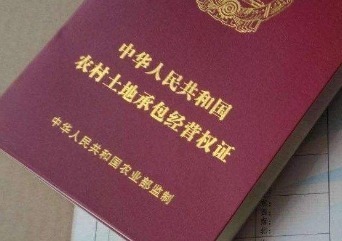 李刚|土地确权后,这6种宅基地不再属于自己,别不小心弄丢了!