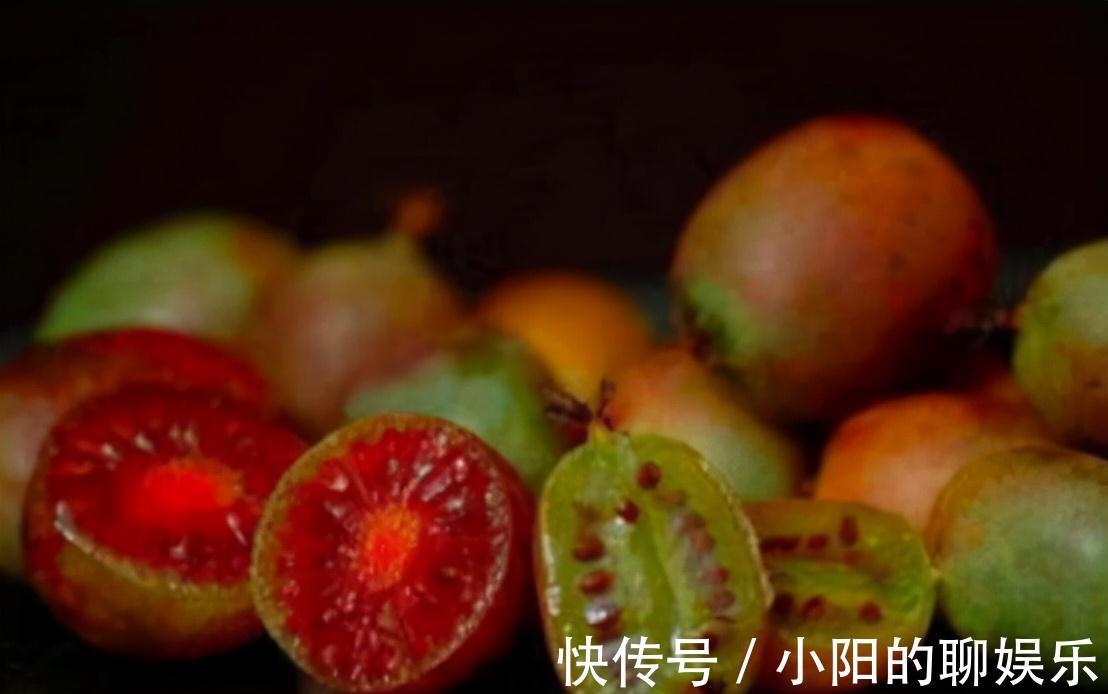 软枣猕猴桃|建议大家,家乡若有这种果树,就保护起来吧,别让人随意采摘