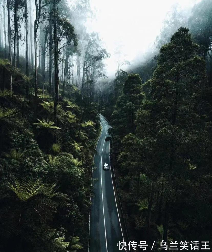 |【被窝段子20220126】再小的努力,乘以365都很明显