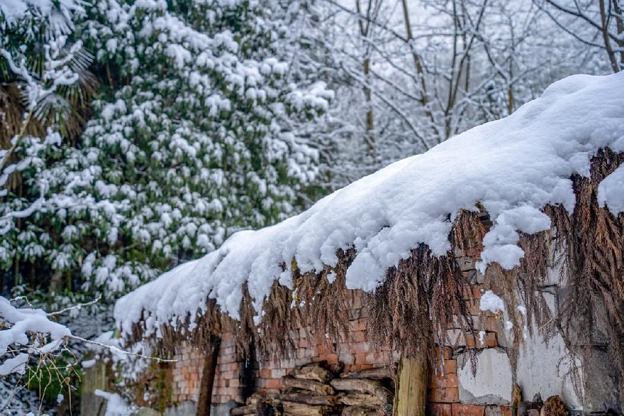 一大|德阳各地雪景美照大曝光！隔壁城市都羡慕哭了！一大波视频照片……