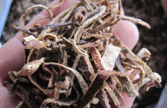 男人|男人身边的“雄激素”,坚持1天吃点,腰腿有劲显精神!