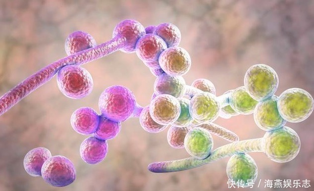 脚底|脚气一犯又臭又痒,厨房这2物专克脚气,每天用1点彻底解决脚气