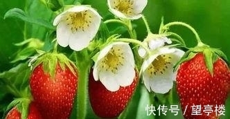 筒装|23冷知识，真实存在于世界，但却没有什么用处