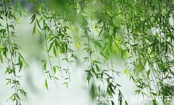 诗人@元好问的一首绝句,明白晓畅,随口吟出,却朗朗上口