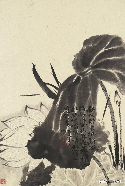 花卉册!清 石涛 《花卉册》 欣赏