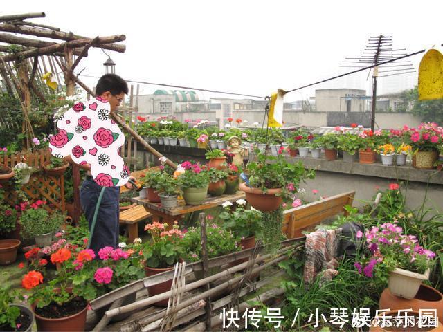 植物|12年搬家13次，43岁的她终于送给女儿3000平米超大花园