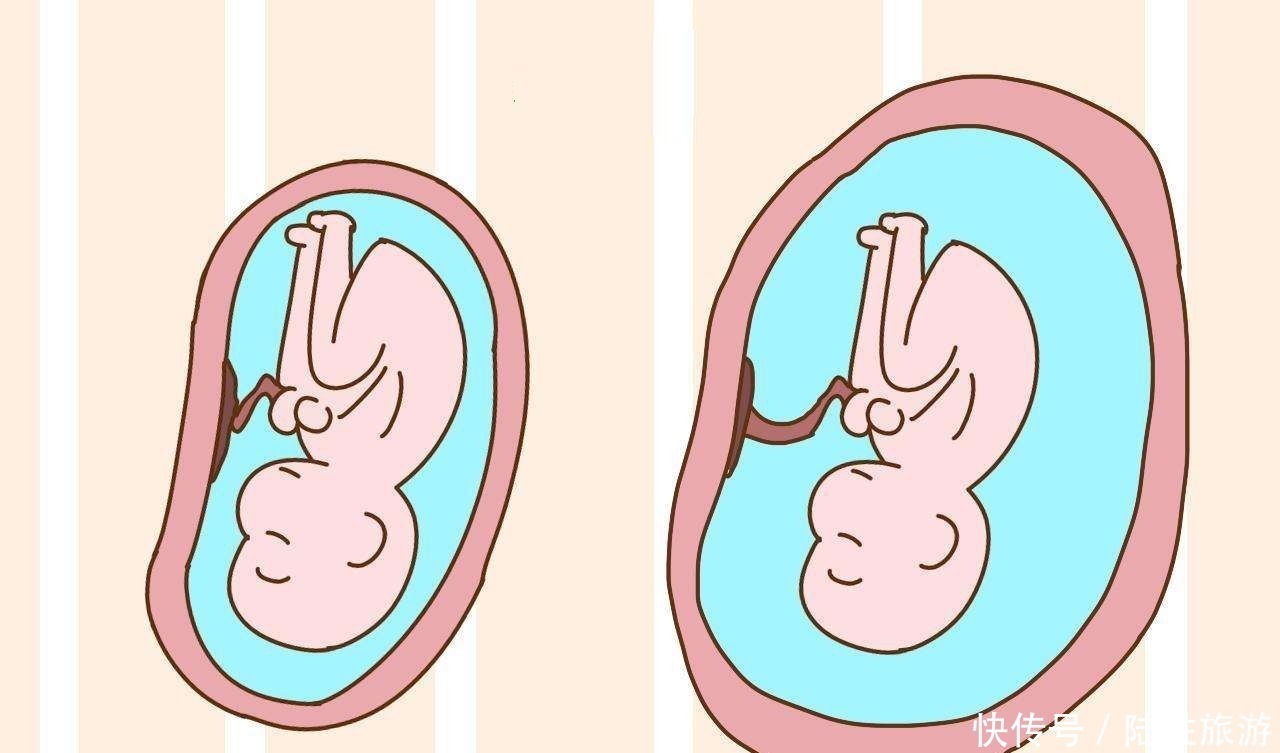 羊水|怀孕后，这4类食物不要吃了，会使羊水质量变差，影响胎儿发育