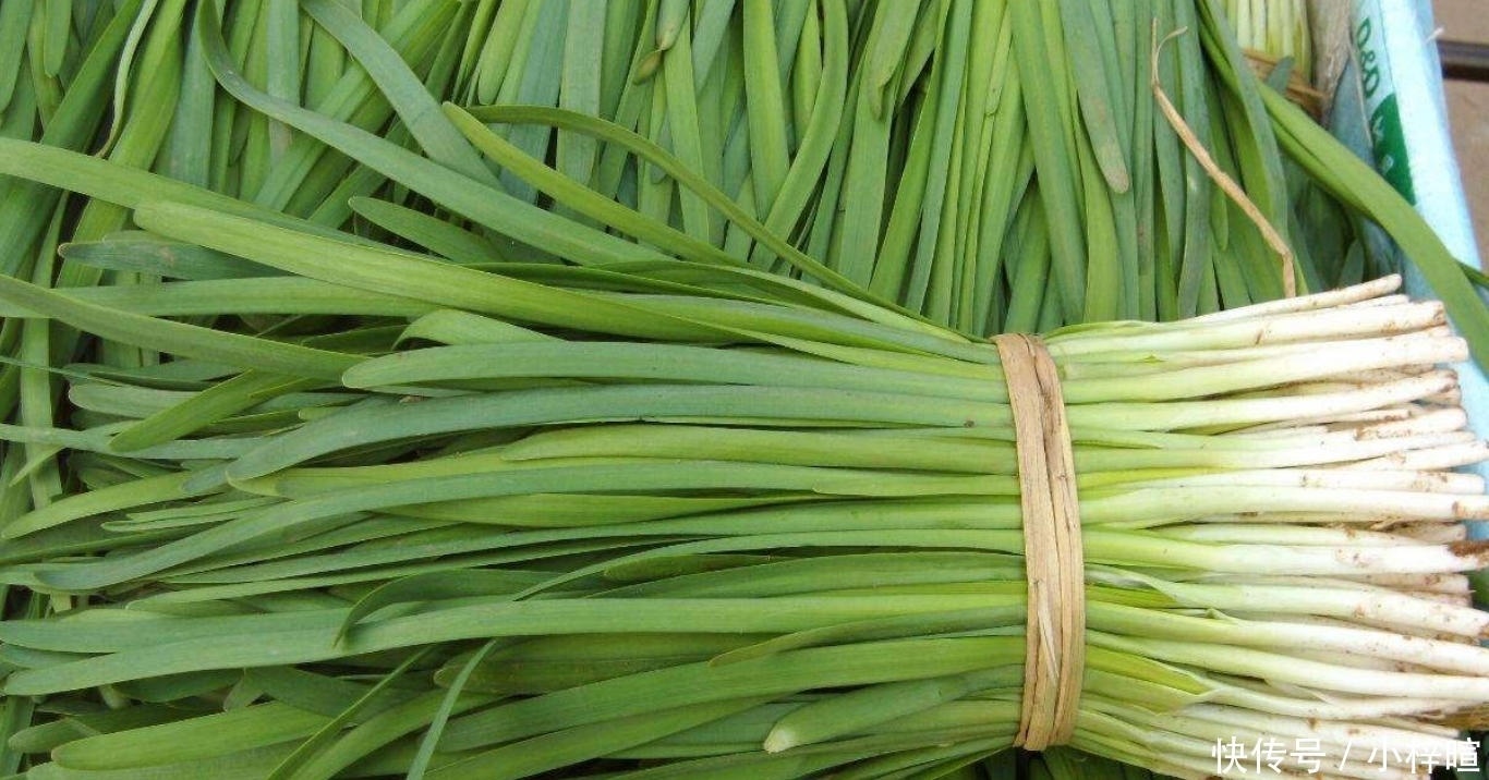 韭菜5种最好吃的做法，每种都简单美味，看看你喜欢吃哪种？