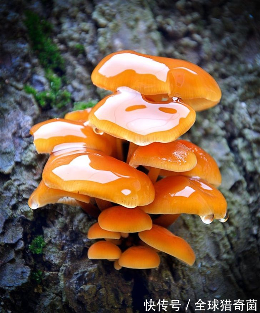 摄影|35张“活久见”的完美图片,强迫症瞬间被治愈了