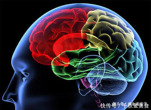 事实|54个人体冷知识:或许经常遇到,但你却不一定明白的事实