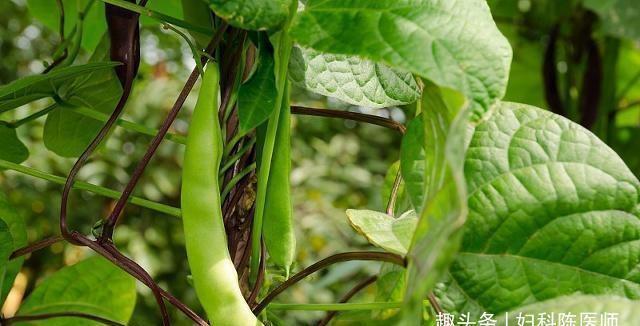 春天了,多吃三種食物,排毒養(yǎng)顏,提高身體免疫力,早吃早好