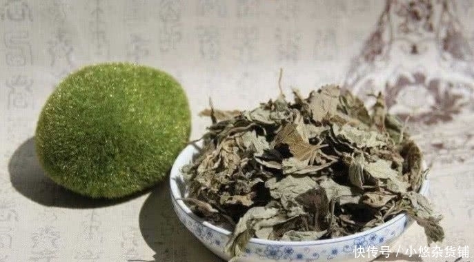 女性|有子宫肌瘤的女性,这些食物要多吃,帮你活血化瘀,子宫更健康