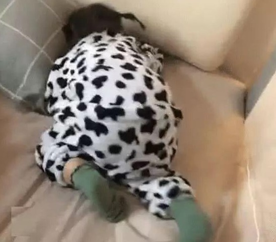 爸爸|闺女翻到老爸“小金库”,宝妈看后笑翻了,宝爸:这小棉袄漏风