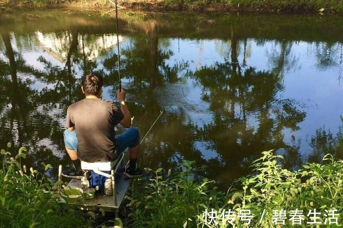 夏天野钓注意这几点,上钩的都是大鲫鱼