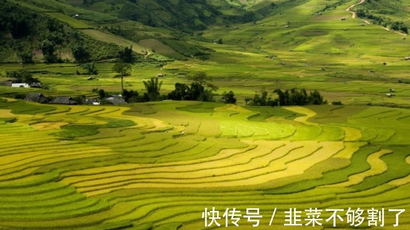 天蝎座|三大人贵自立的星座，独处是一种习惯，为人城府深远，格局博大