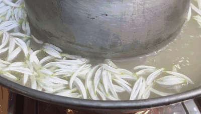 来成都旅游，头回听到还有菊花火锅？是我想的那个菊花，是我想的那个火锅吗？