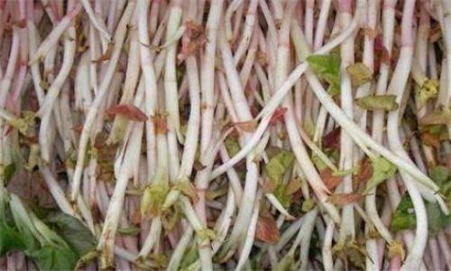 排毒|秋季来了，女性常吃以下食物，能袪皱淡斑，排毒护肤，延缓衰老