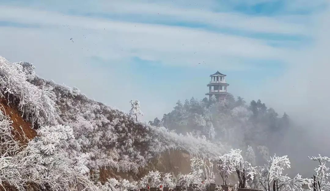 白鹤尖|玉树琼花！今日份白鹤尖雾凇到货