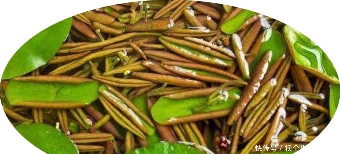 黄渤爱吃野菜,但野菜怎么做?得看汪曾祺!|青书单| a8748