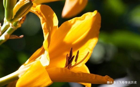 烹饪|天然的“祛湿王”,平时“敞开吃”排除湿气,体重悄悄下降