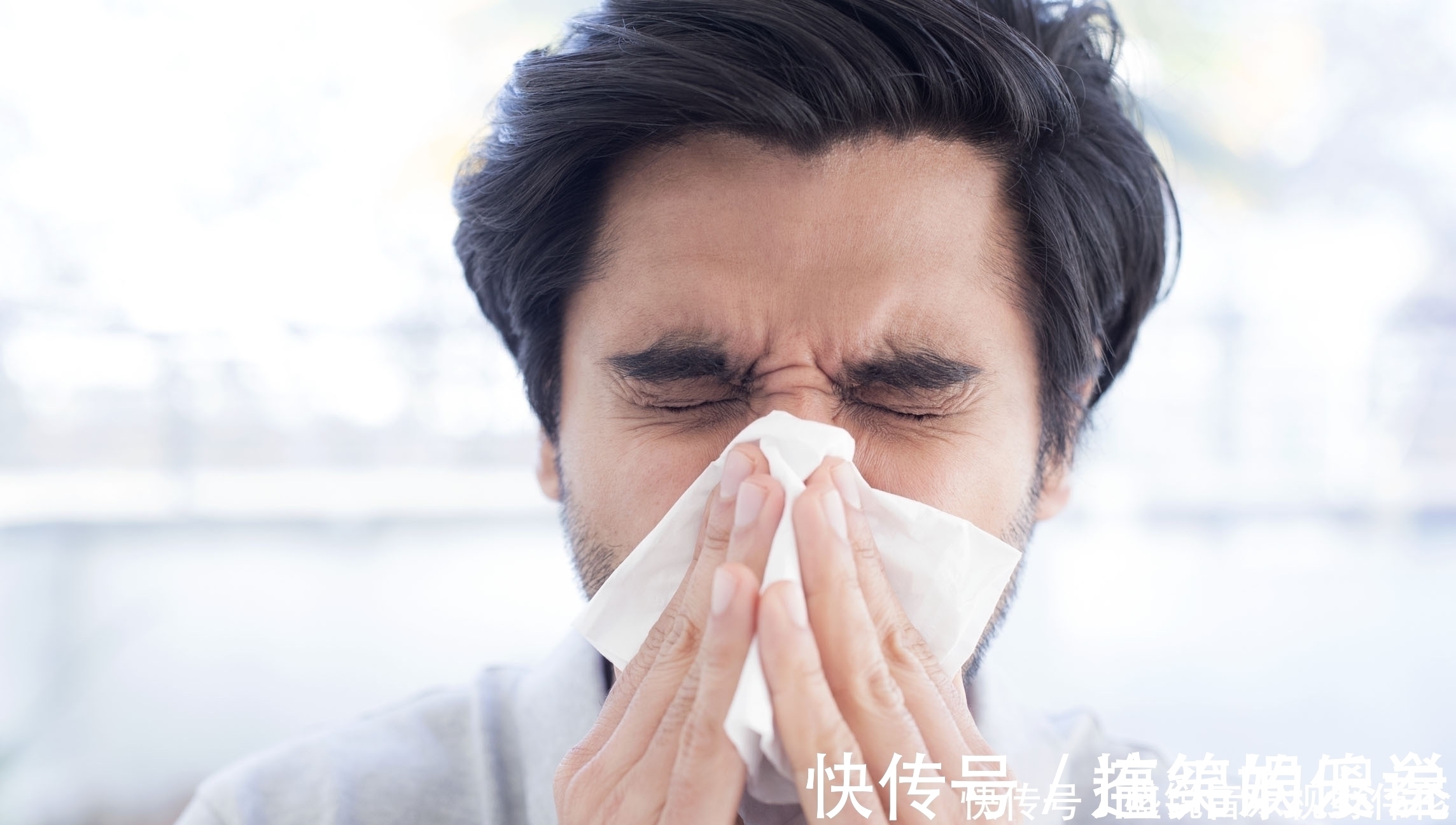 菊花茶|决明子泡水功效多,按照这个“公式”,补肝明目,血栓或偷偷溜走