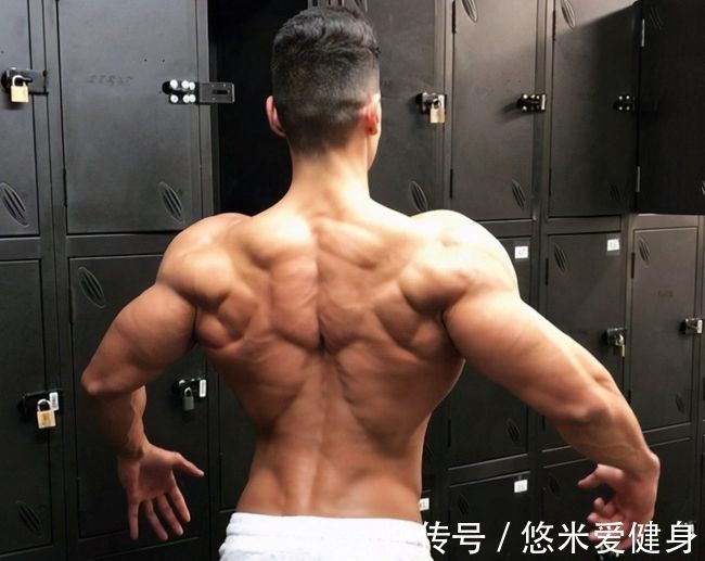杠铃片|如何练厚背阔肌内侧？强化训练这4个动作，让你的背部肌肉更强壮