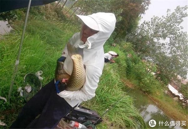 水体|俗话说“钓鱼要钓草”，外在因素不容忽视，把握时机让渔获最大化