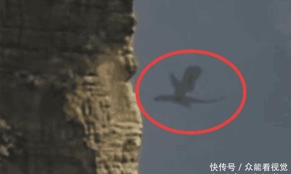 上山|女子上山采茶拍到“飞猴”,老人们说是凤凰,网友却说这是龙