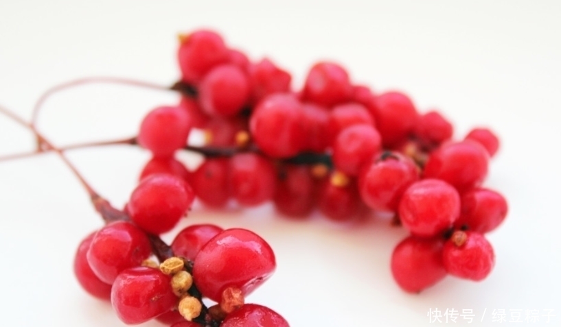 补肾|一味药泡水喝,补心、补肝、补脾、补肺、补肾,五脏健康延年益寿