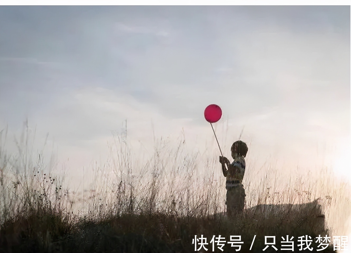 亲子关系|我见过最弱的父母,是冲孩子“发脾气,讲道理”,真正的高招在此