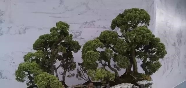 世界上又一奢侈品《盆栽》一盆就是一座房子！