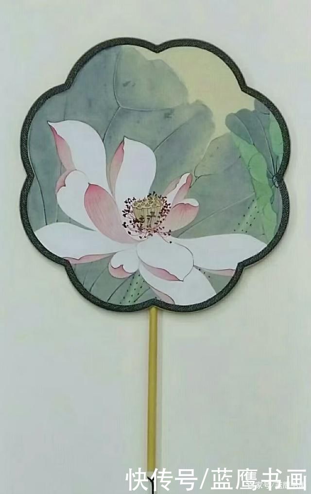 赏荷|杨颢作品:荷月赏荷