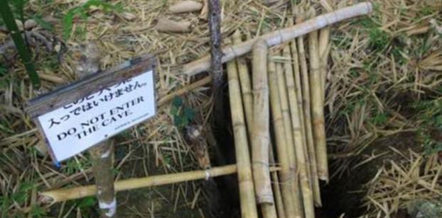 投降|老日军藏在小岛27年，挖洞吃老鼠丧失语言功能，被发现后仍不投降