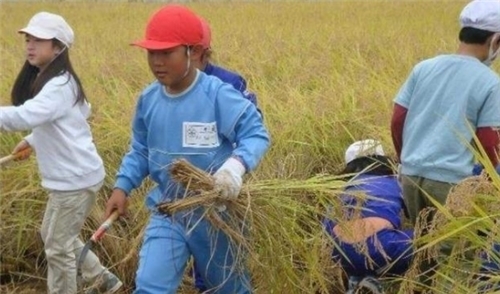 计划|19年前，日本提出了一项计划，听起来像是笑话，结果人家真实现了