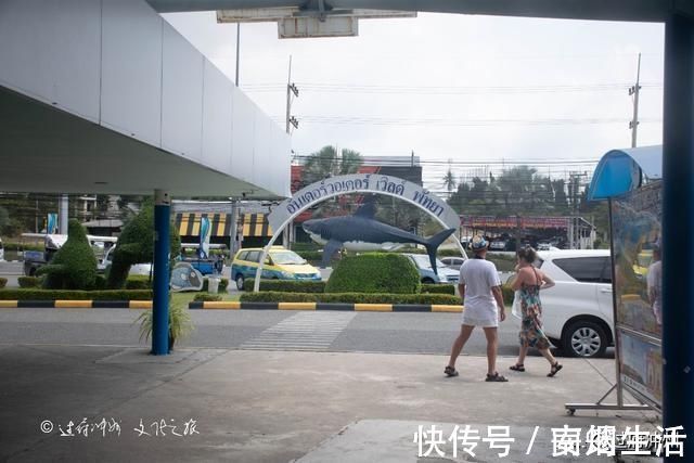 芭提雅|泰国水族馆的怪象：欧美游客最爱去，中国游客零零散散