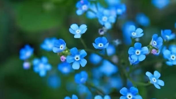 |心理学:你之所以不幽默,是因为缺乏这4种能力