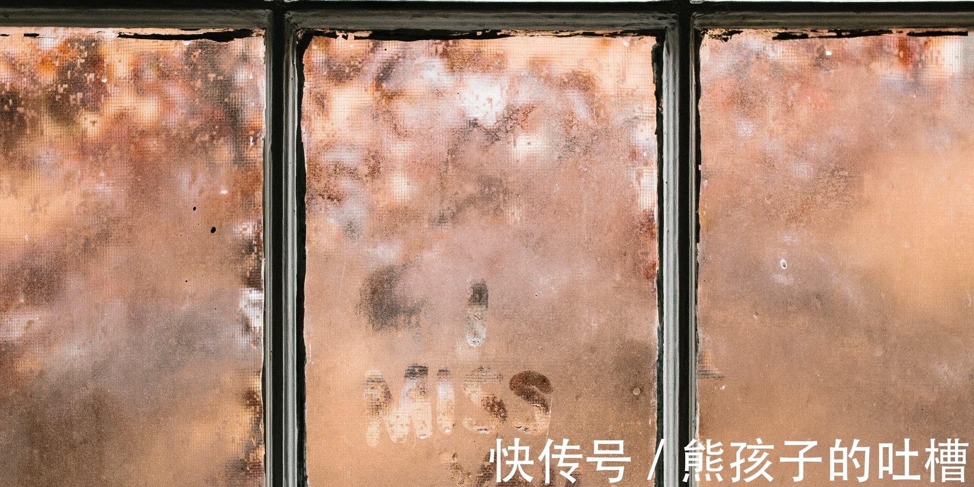 一本好书&阅读所求,完善人生