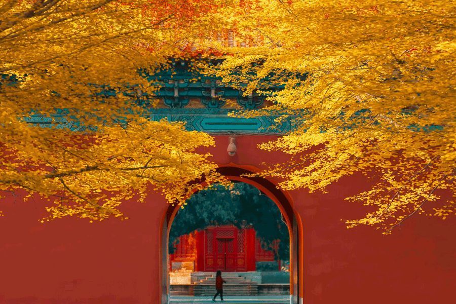 精髓|八句话,十六个字,老祖宗为人处世精髓!