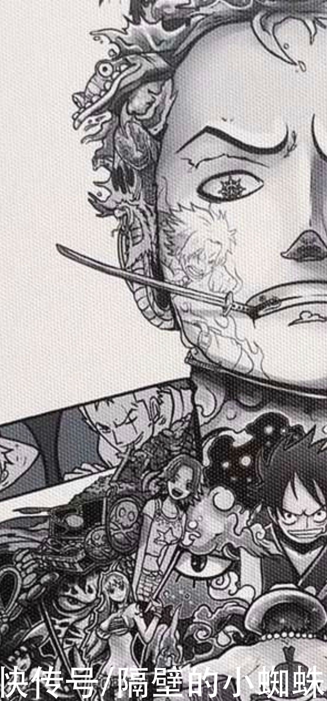 乔巴|海贼王：这个“索隆”不简单，足足画了几十位角色，细节堪称无敌